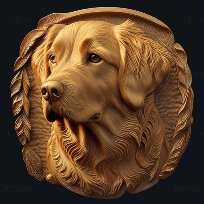 Golden Retriever dog